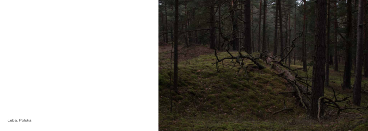 Caption: 7- Image from Photography Book_ Out of Place