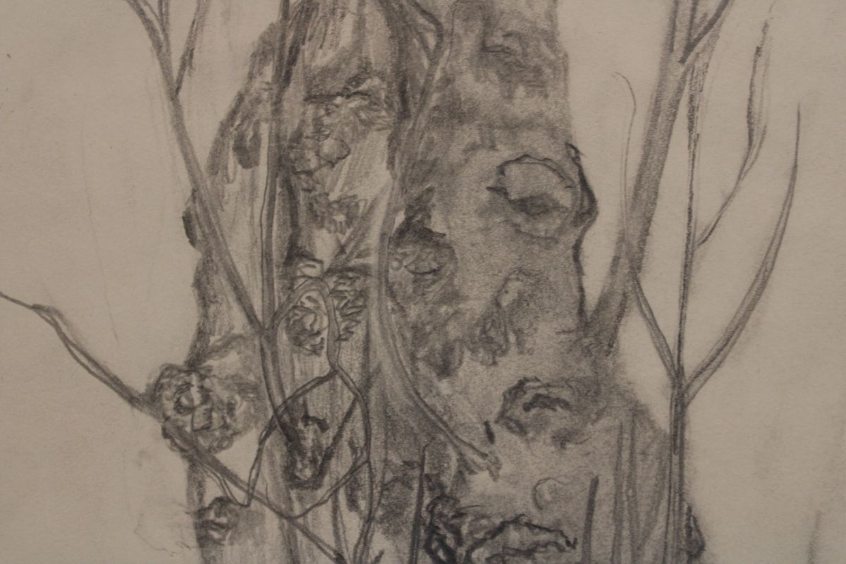 The total piece sized at 145.5 x 85 cm