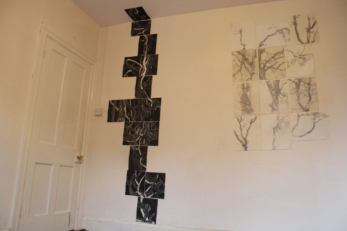 image 2.The series is 272 x 69.5 cm