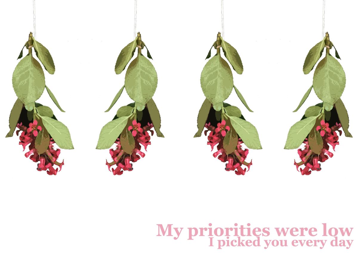5. Low Priorities