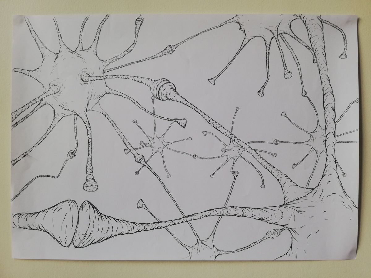 1_Neurons1, 2_Neurons2, 3_Neurons3 4_Neurons4, 5_DNA1, 6_DNA2, 7_DNA3, 8_DNA4, 9_DNA5, 10_DNA6