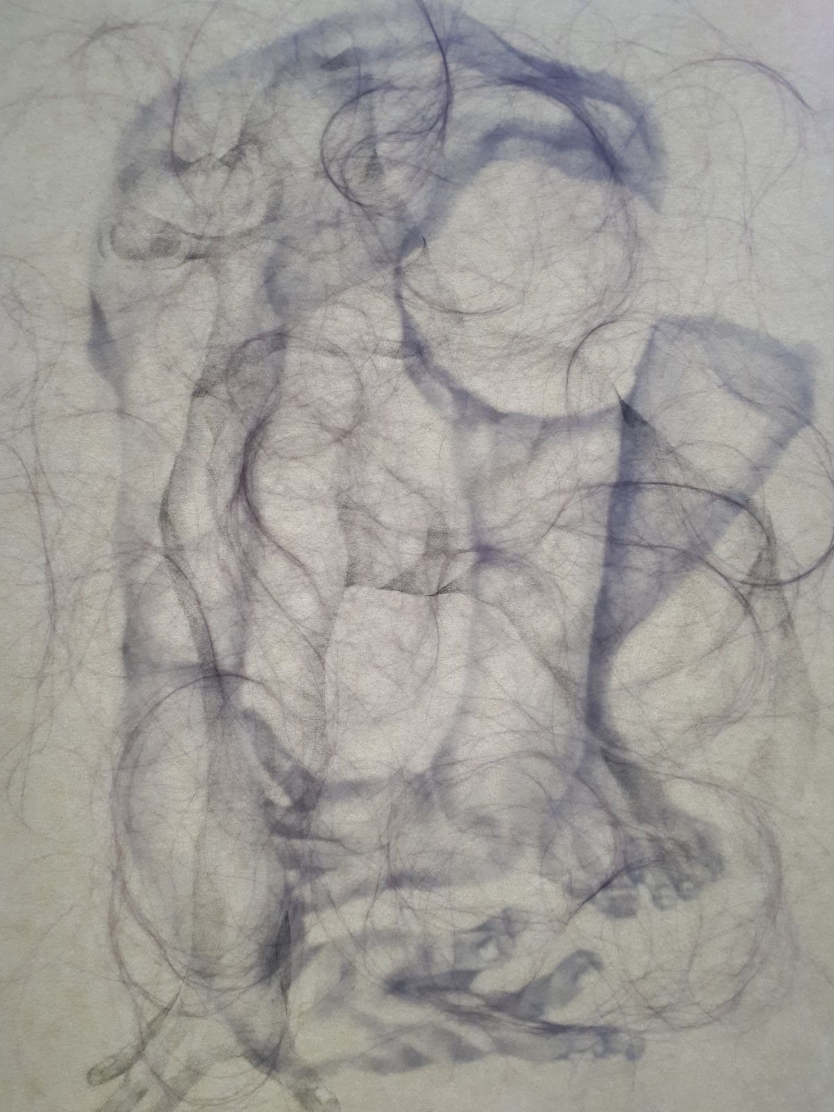 3- Nebulous Corium (3), graphite pencil drawings and human hair on layers of vellum paper