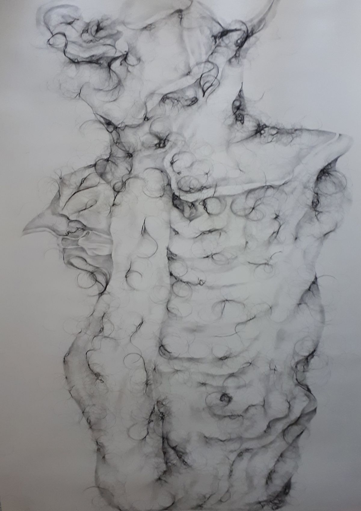 7- Nebulous Corium (large drawing 2), graphite pencil drawing and human hair on cartridge paper