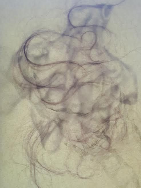 1- Nebulous Corium (1), graphite pencil drawings and human hair on layers of vellum paper