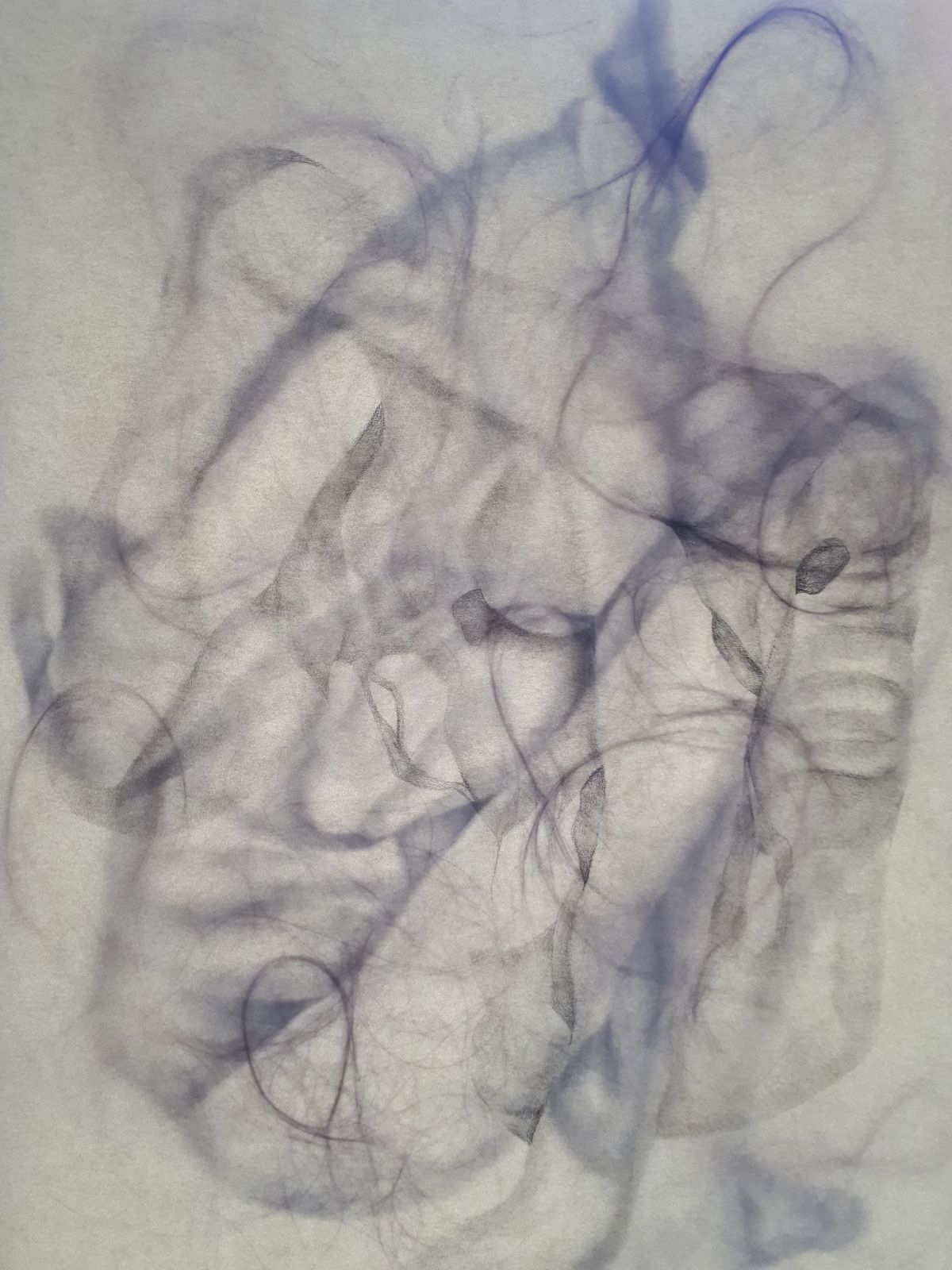 4- Nebulous Corium (4), graphite pencil drawings and human hair on layers of vellum paper
