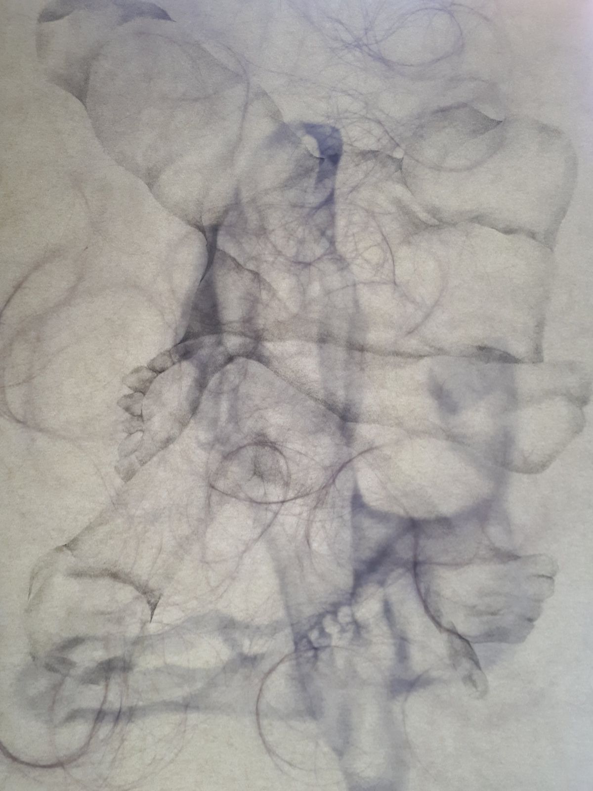 5- Nebulous Corium (5), graphite pencil drawings and human hair on layers of vellum paper