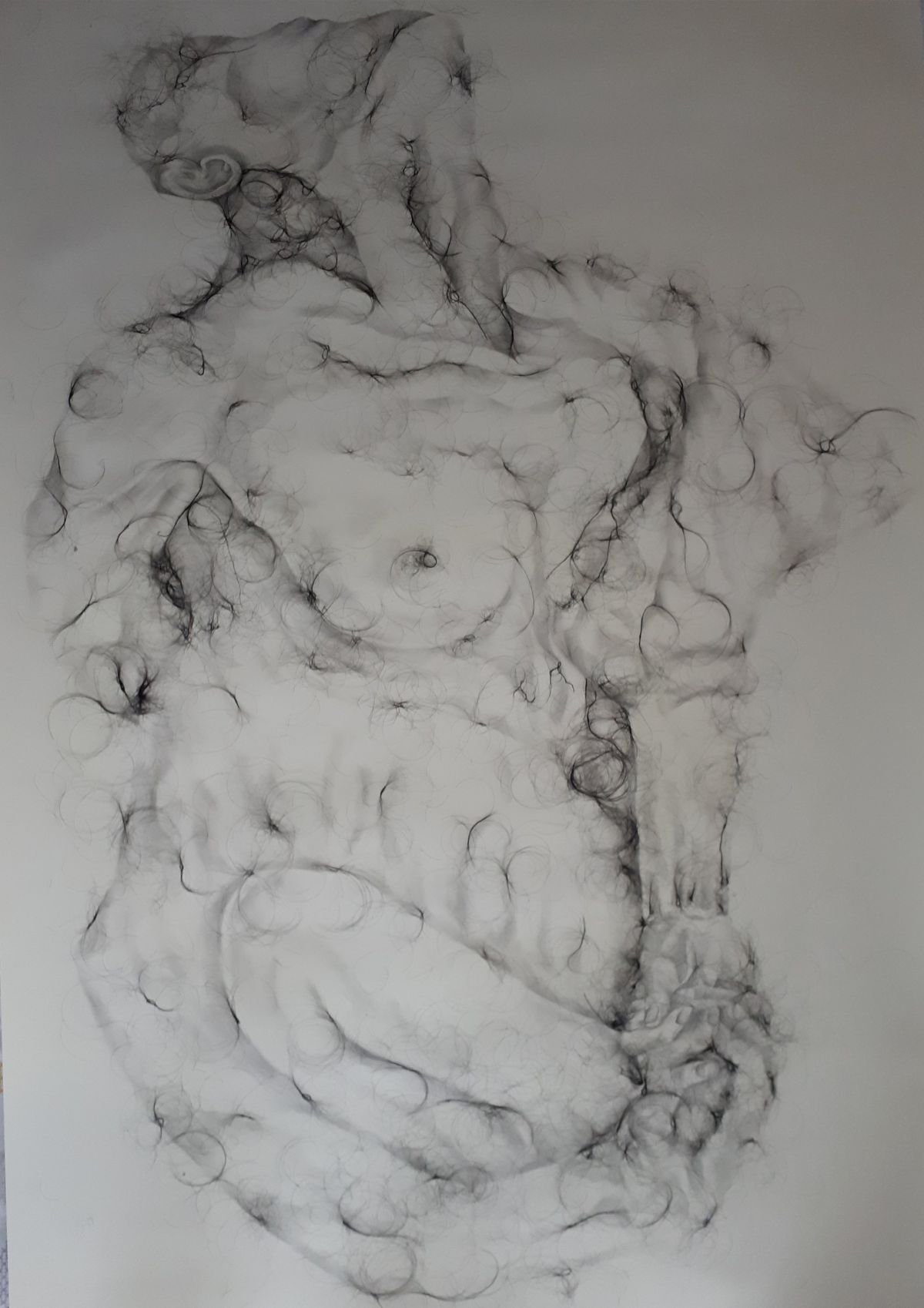 6- Nebulous Corium (large drawing 1), graphite pencil drawing and human hair on cartridge paper