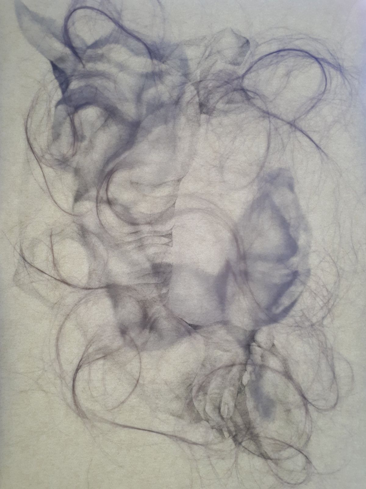 2- Nebulous Corium (2), graphite pencil drawings and human hair on layers of vellum paper
