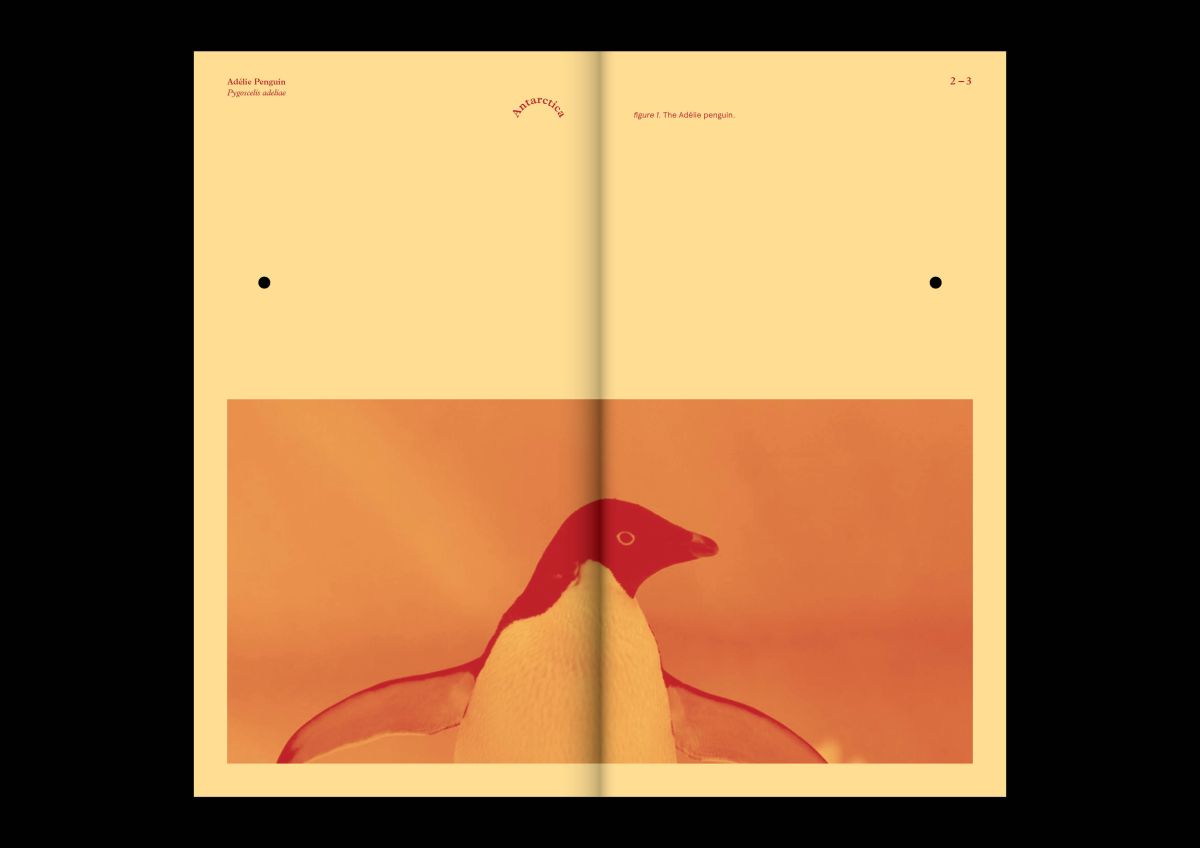 Animals (ISTD) introductory spread.