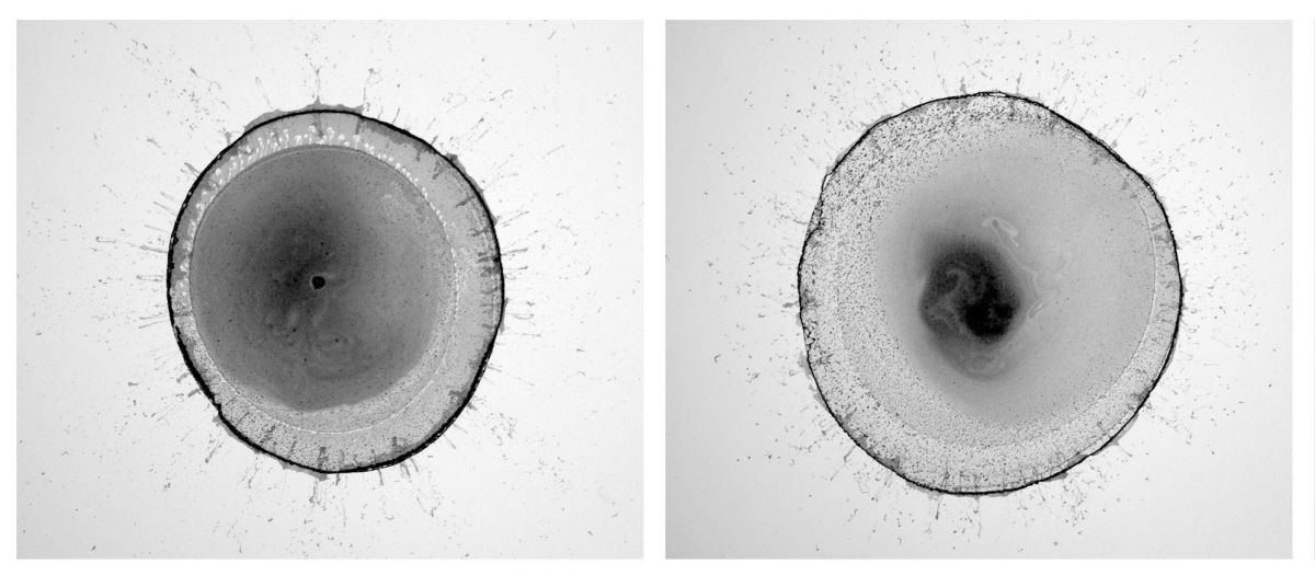 2-	Ink Bubbles 2. 21cm x 30cm.