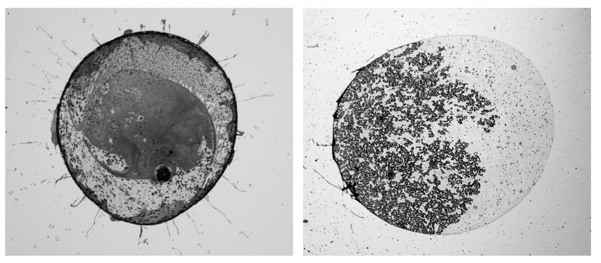1-	Ink Bubbles 1. 21cm x 30cm.