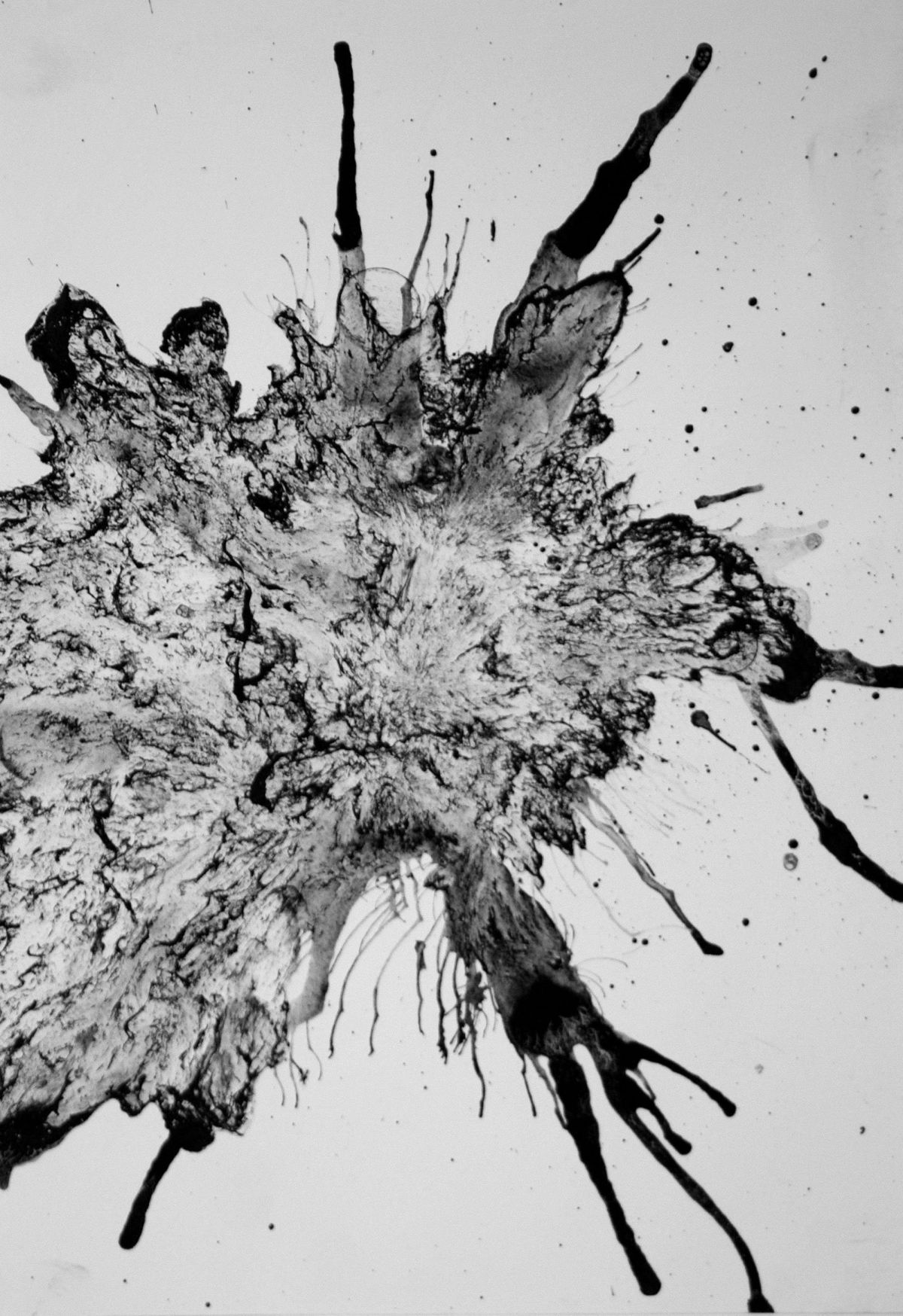 3-	Ink Burst. 21cm x 30cm.