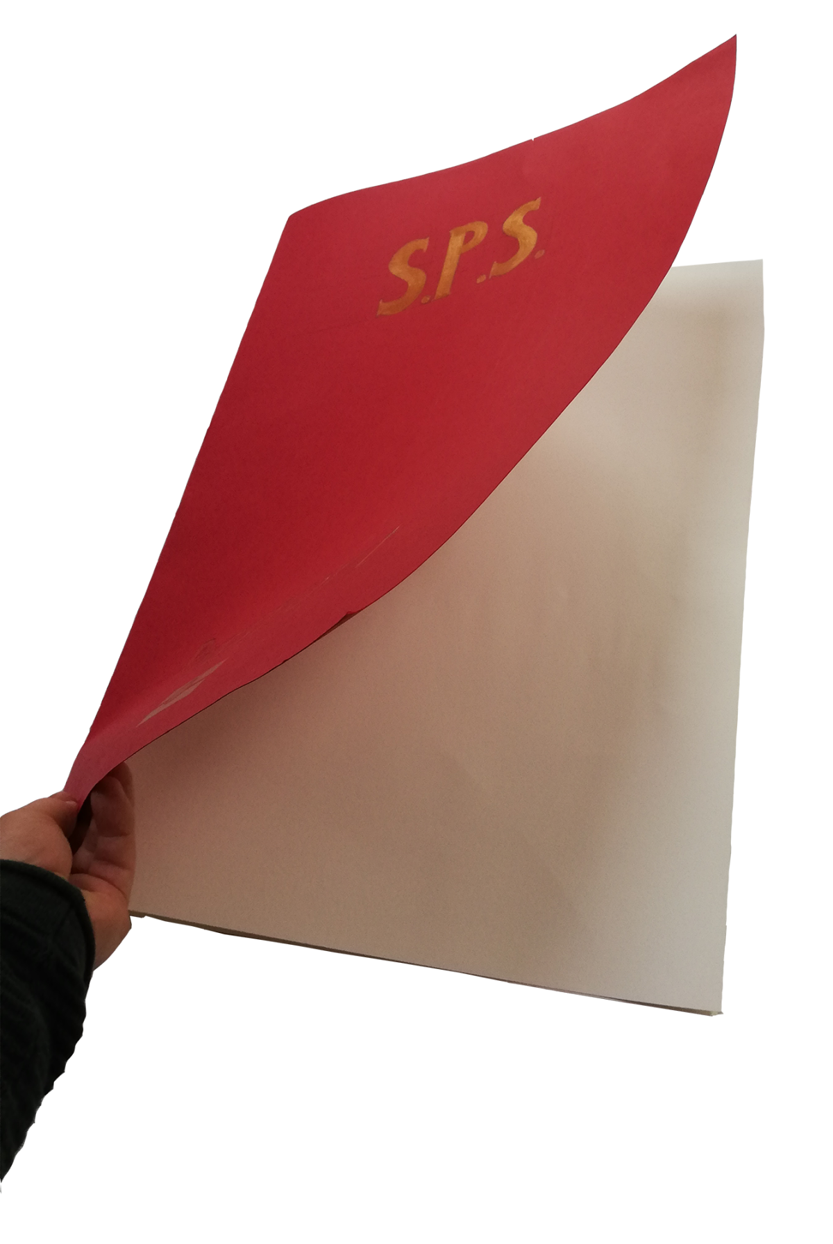 3-Passport book cover