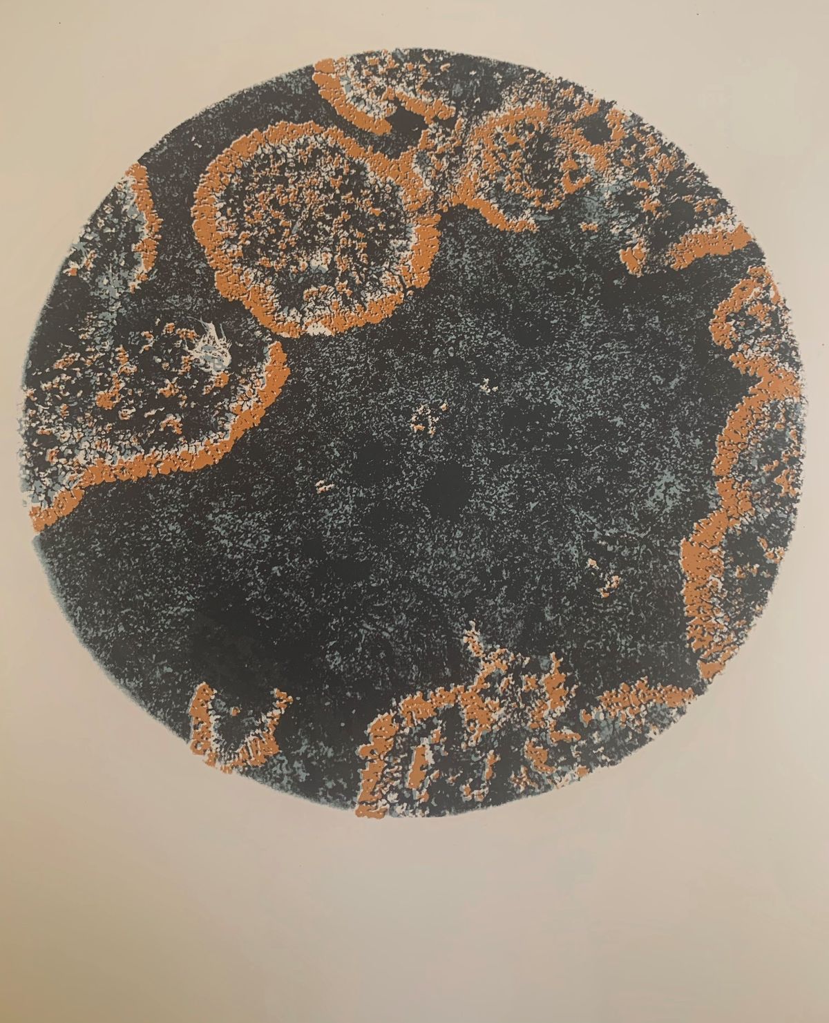 6. Imprint II
