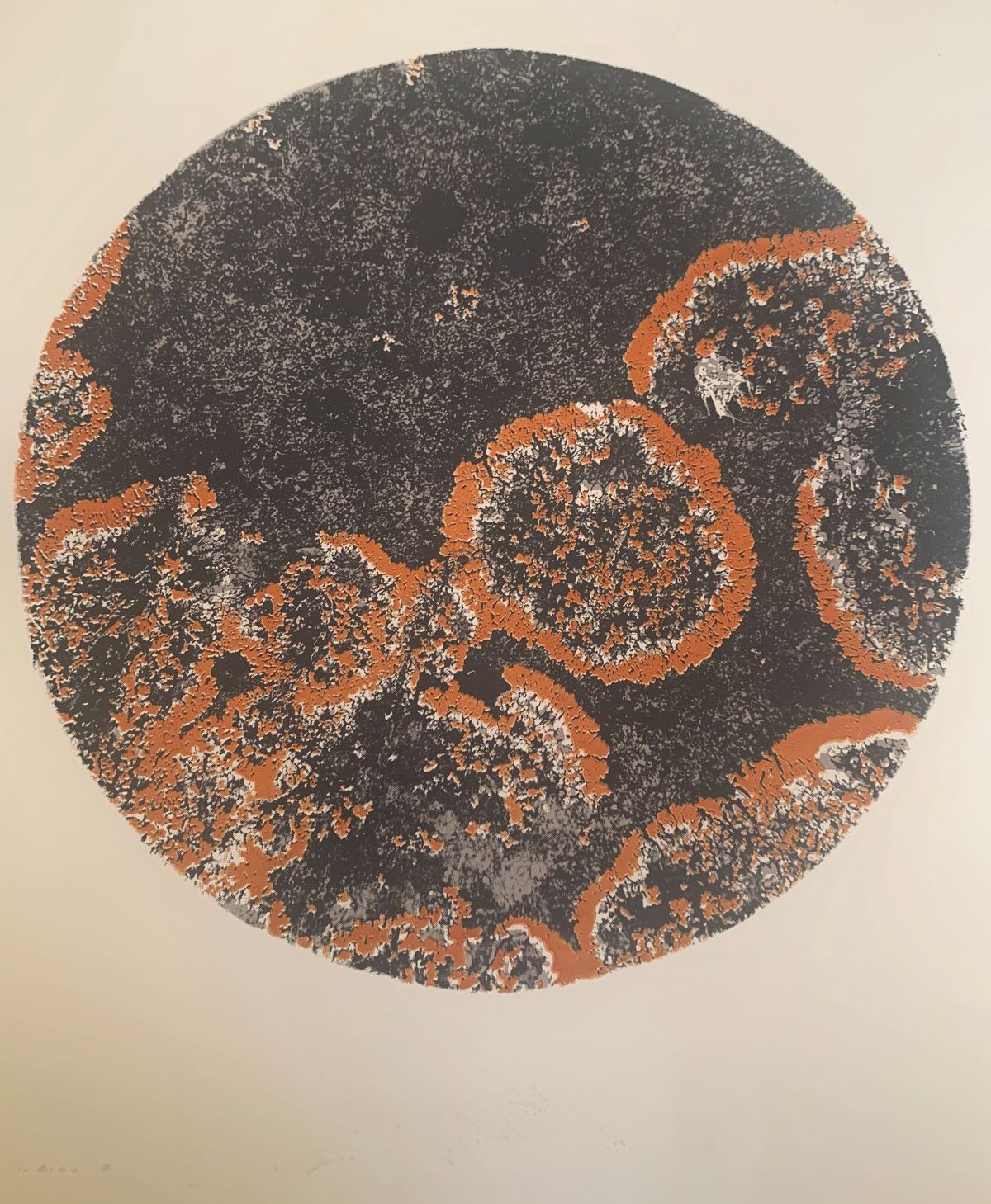 5. Imprint I