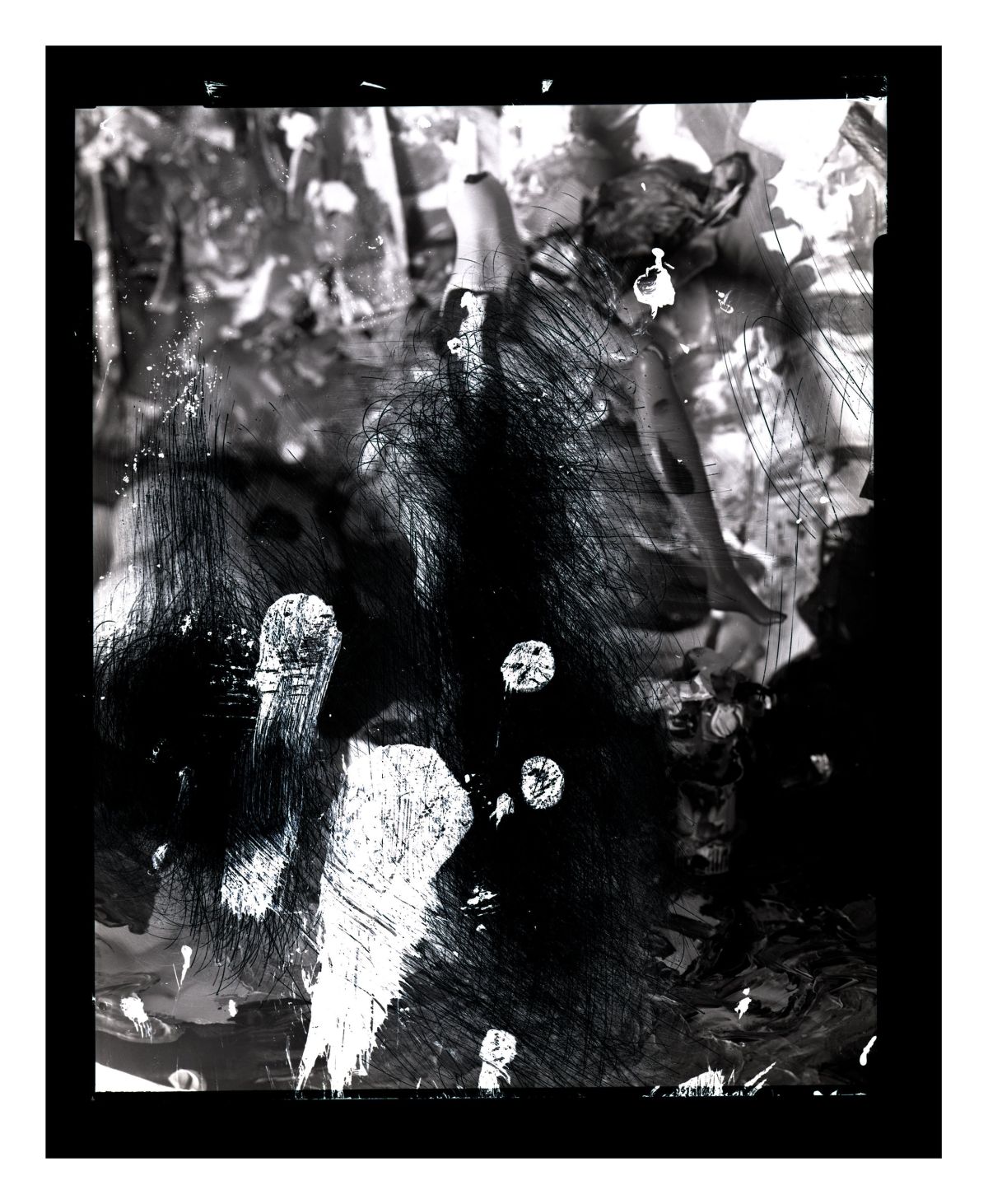 9-Transformation. Large format film photograph.