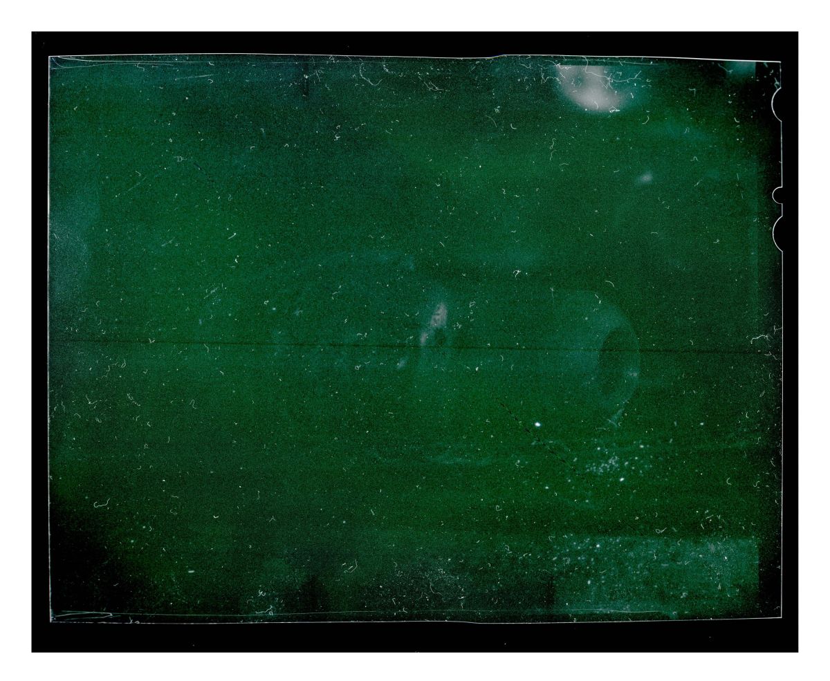 3-Feelings. Large format film photograph.