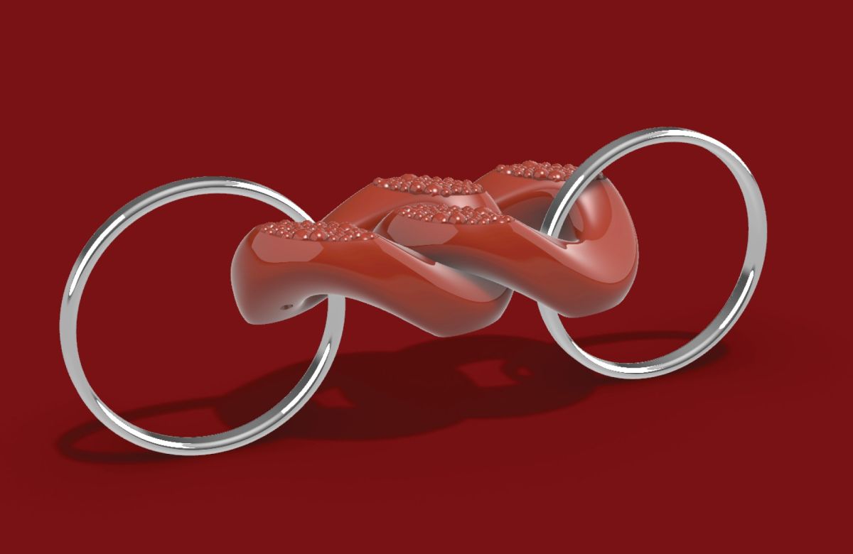 6- Curb chain ring