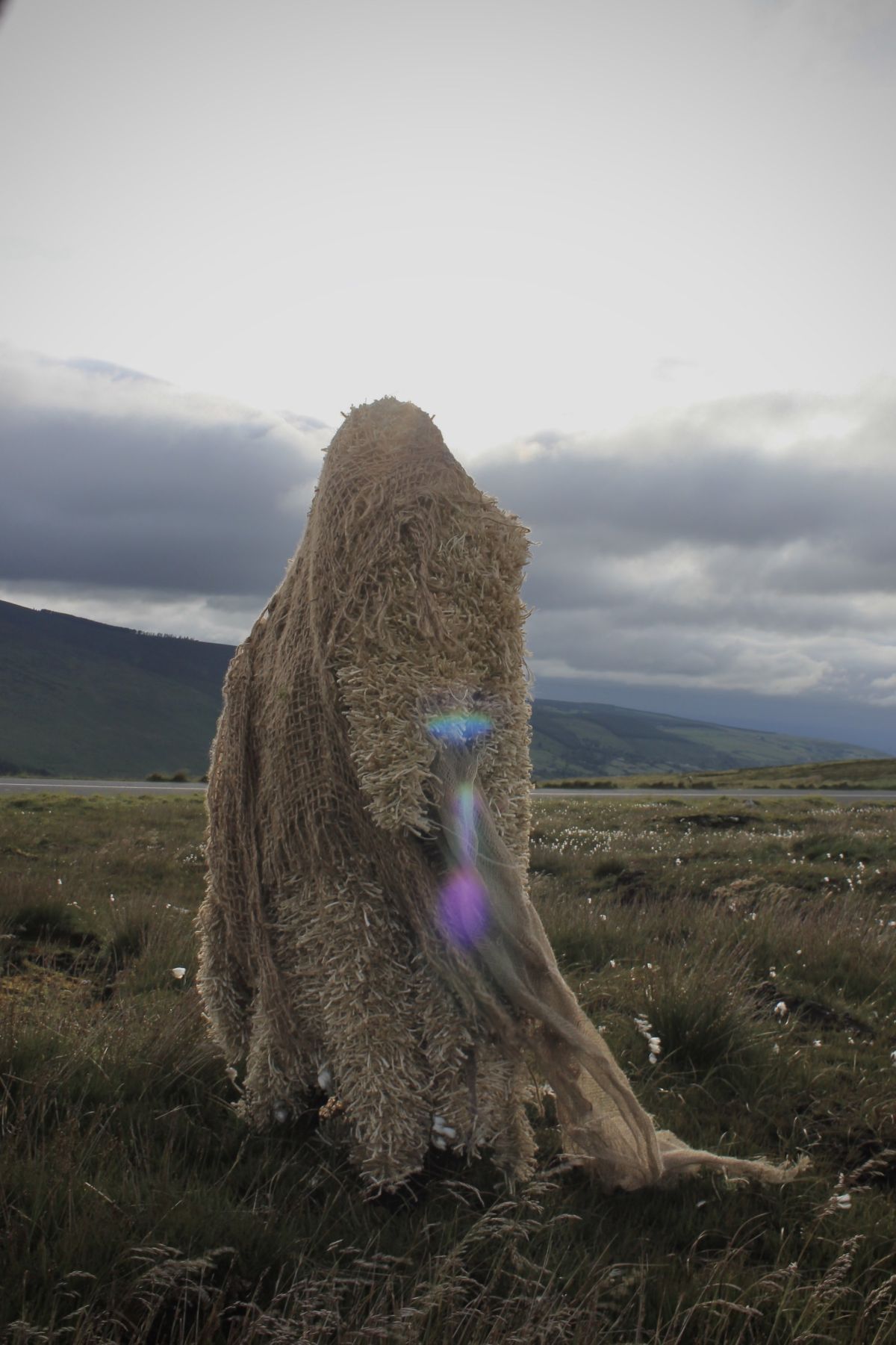 COILL AN CHAOICH - NICOLE O'REILLY