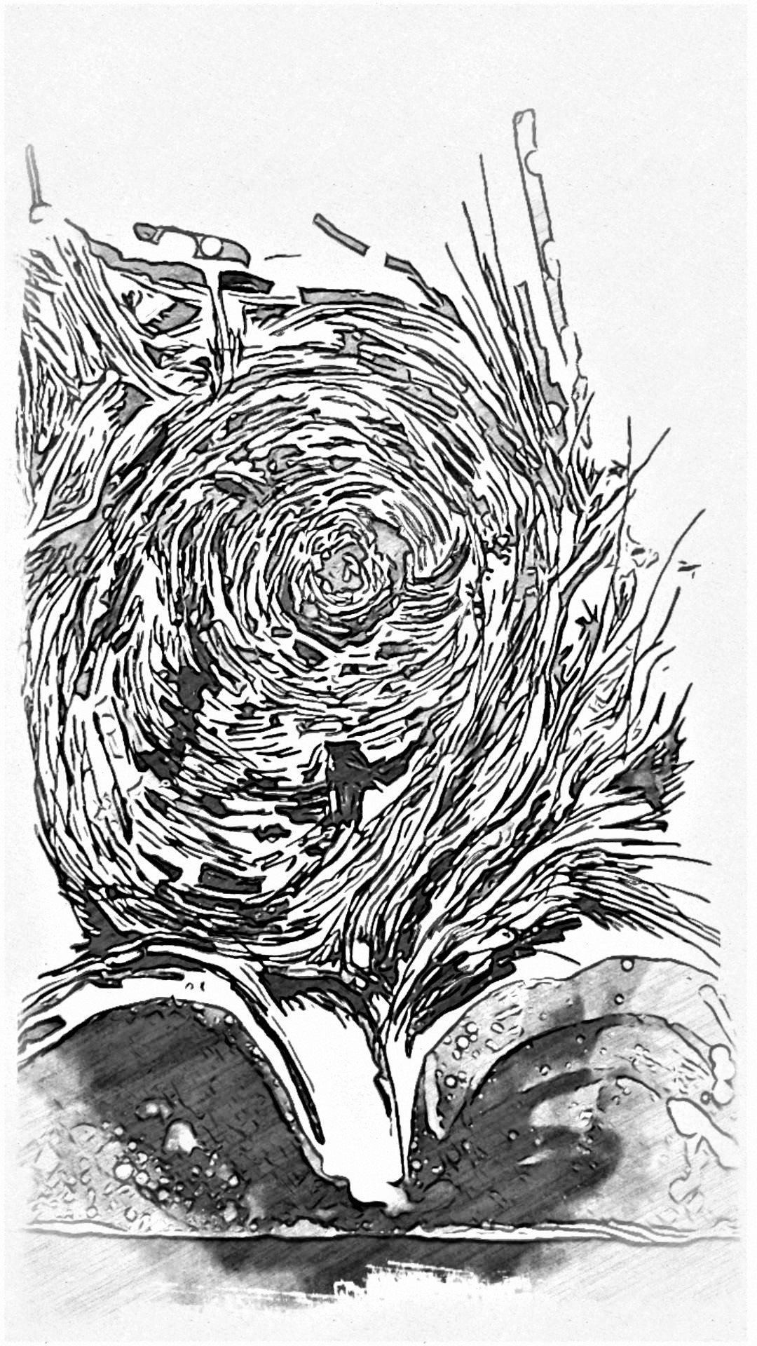 eyrie ii, Drawing