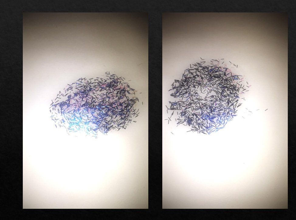 core ii, Diptych Photograph