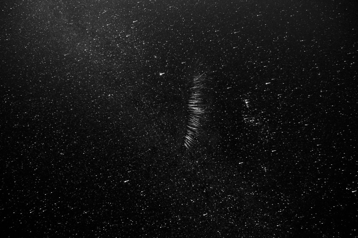 3. Skylashes